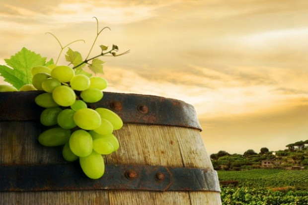 Fot. Fotolia W Chinach więcej winnic niż we Francji