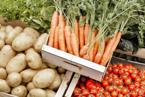 GUS: Mniejszy eksport owoców i warzyw w I kw. br. 