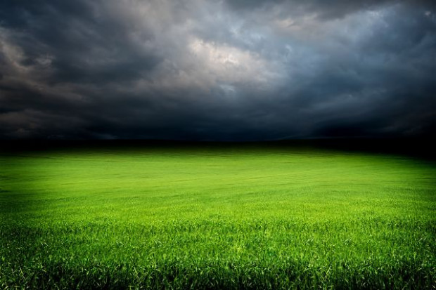 W związku z nawałnicami strażacy w woj. śląskim do tej pory interweniowali prawie 2 tys. razy (fot. Fotolia) Trwa usuwanie szkód po burzach