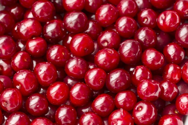 Ceny wiśni na rynkach hurtowych spadają - do 2,5 zł/kg/ fot. shutterstock Spadają ceny wiśni na rynkach hurtowych