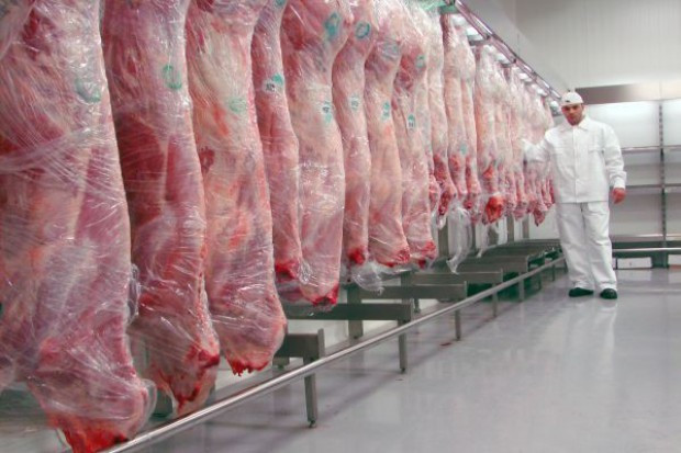 Kraje bałtyckie planują utworzyć specjalną strefę handlu wieprzowiną z terenów objętych ASF; fot. PTWP Powstanie specjalna strefa handlu wieprzowiną z regionów objętych ASF?
