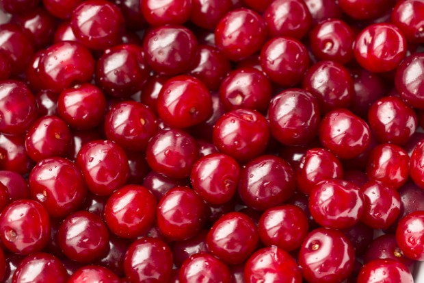 (fot. shutterstock) Owoce gotują się na krzakach