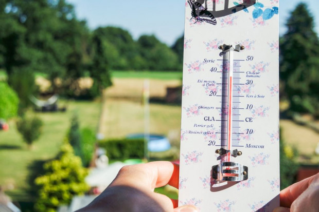 Najwyższą temperaturę zanotowano o godz. 15 w Legnicy i Wrocławiu - 38 st.C; fot. shutterstock.com Rekord ciepła nie padł. Zabrakło dwóch stopni!