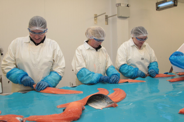 Fot. Marine Harvest Marine Harvest ze wzrostem przychodów operacyjnych