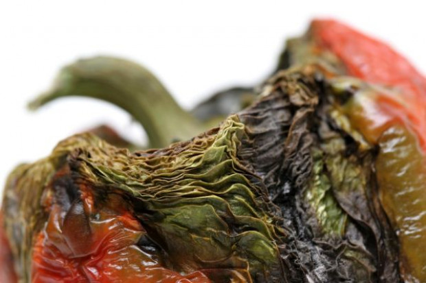 Najczęściej marnowane są warzywa, owoce i produkty ze zbóż (fot. Fotolia) Mieszkaniec UE marnuje 123 kg żywności rocznie