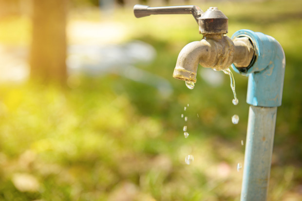 Wprowadzenia stanu klęski żywiołowej domagają się polscy rolnicy (fot. Shutterstock) Decyzja w sprawie wprowadzenia stanu klęski żywiołowej już dzisiaj