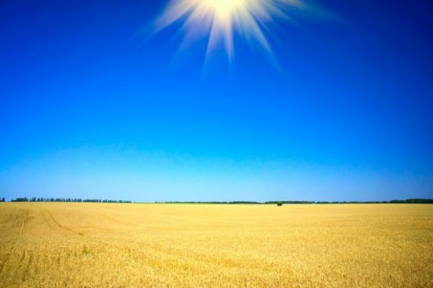 Susza w Polsce, fot. Fotolia Susza w całym kraju - Raport Instytutu Upraw Nawożenia i Gleboznawstwa