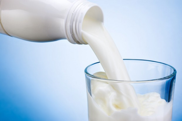 Polska jest jednym z największych producentów mleka w Unii; fot. shutterstock.com Mleczarze wymusili pomoc dla rolników, ale jej nie dostaną