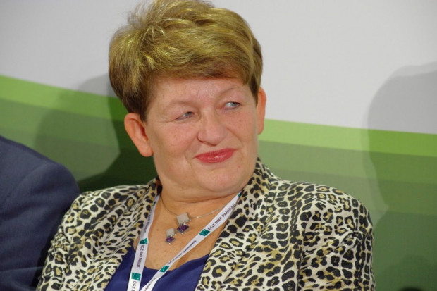 dr Bożena Nosecka, ekspertka z Instytutu Ekonomiki Rolnictwa i Gospodarki Żywnościowej VIII FRSiH: Nie tylko susza spowodowała spadek zbiorów owoców i warzyw