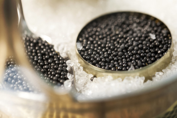 fot. Shutterstock Gospodarstwo Rybackie Gosławice potentatem na europejskim rynku kawioru