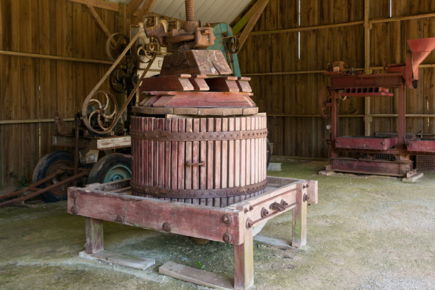 Historyczny rodzaj prasy do tłoczenia cydru i calvadosu fot. Shutterstock Cydrownia to prosta inwestycja i prosta linia technologiczna
