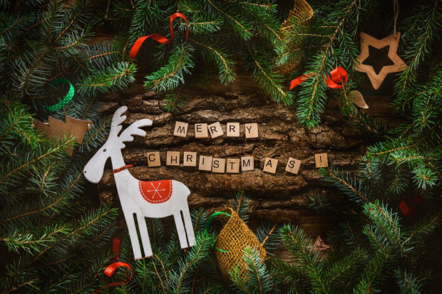 Wesołych Świąt! fot. shutterstock.com Portalspozywczy.pl życzy Wesołych Świąt!
