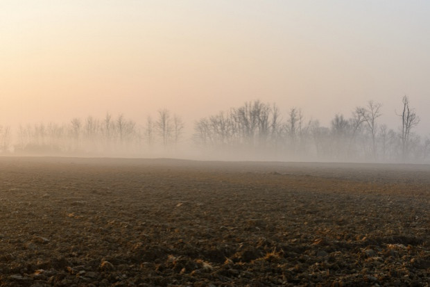 fot. shutterstock.com Kto zyska na ciepłej zimie?