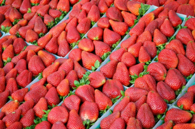250 g importowanych truskawek za 2,50 zł; fot. shutterstock.com Truskawki z importu po 2,50 zł za 250 g. To tyle ile krajowe w sezonie