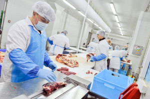 Ministerstwo Rolnictwa i Rozwoju Wsi zapowiada utworzenie jednolitego systemu kontroli żywności do końca 2019 roku. Fot. shutterstock MRiRW zapowiada utworzenie jednolitego systemu kontroli żywności do końca 2019 r.