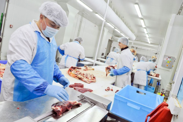 Ministerstwo Rolnictwa i Rozwoju Wsi zapowiada utworzenie jednolitego systemu kontroli żywności do końca 2019 roku. Fot. shutterstock MRiRW zapowiada utworzenie jednolitego systemu kontroli żywności do końca 2019 r.