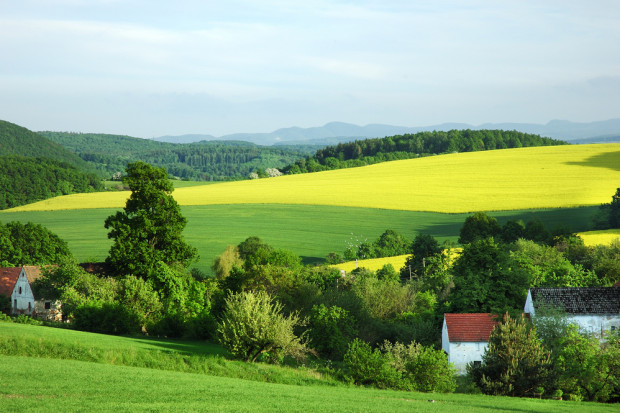 Od listopada 2015 ANR nie sprzedaje już ziemi w przetargach. fot. shutterstock ANR sprzedała 77 tys. hektarów ziemi w 2015 roku