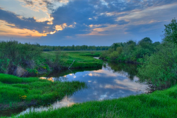 fot. shutterstock Inwestycje w gospodarstwach sadowniczo-ogrodniczych na obszarach Natura 2000