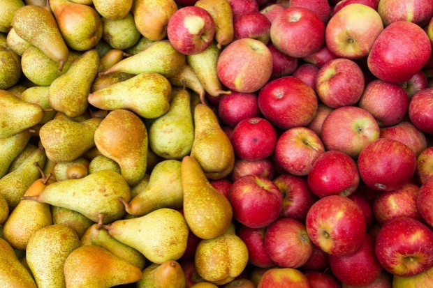 Niższe zapasy jabłek, wyższe gruszek w UE/ fot. shutterstock Niższe zapasy jabłek w UE