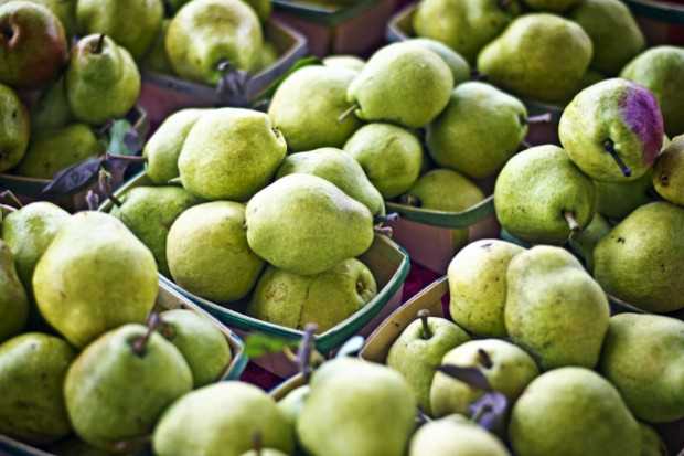 fot. shutterstock Spadł ubiegłoroczny import gruszek w Rosji