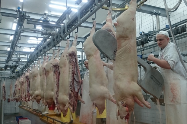 Fot. Materiały prasowe Inwestycje w Ubojni Rytel. Wdrożono ekologiczne zasilanie paliwem LNG