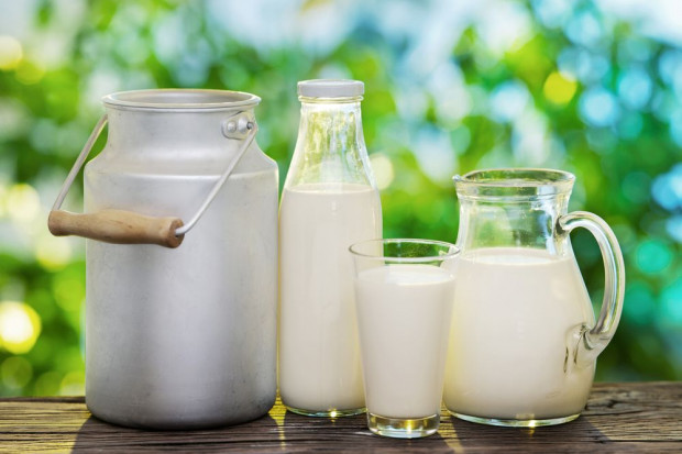 Można się spodziewać zwiększonej produkcji mleka w 2016 roku. Fot. shutterstock BGŻ BNP Paribas: Można się spodziewać zwiększonej produkcji mleka w 2016 roku
