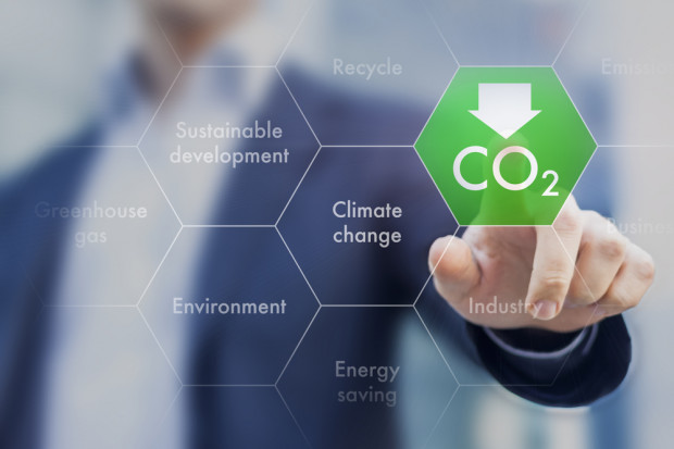 Fot. Shutterstock Część państw UE chce ambitniejszej polityki klimatycznej