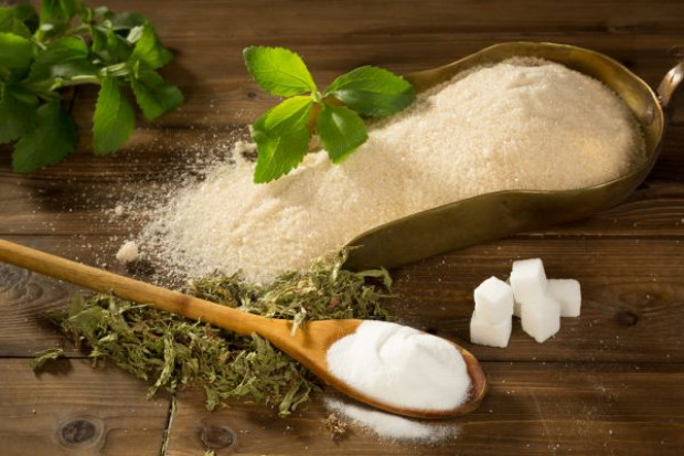 Cukier kryształ, kostki cukru oraz liście stewii i cukier ze stewii fot. Shutterstock Barry Callebaut będzie używać stewię w czekoladach; rynek stewii będzie mocno rósł