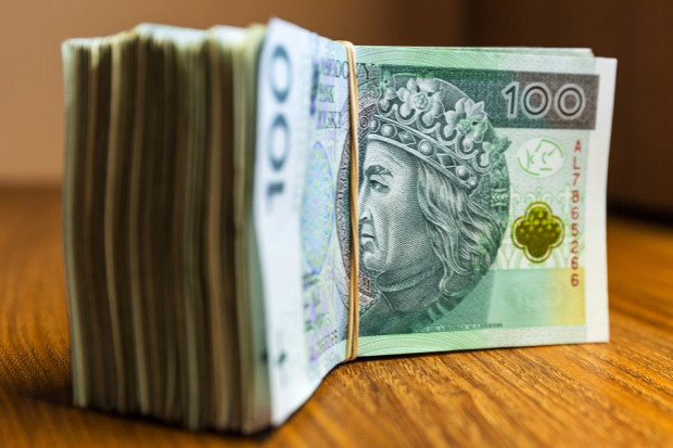 fot. shutterstock ARiMR precyzuje kiedy rolnicy otrzymają pieniądze z dopłat