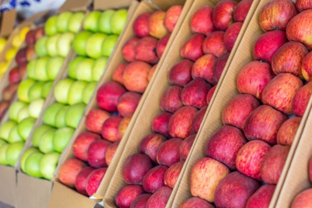 fot. shutterstock Ukraina nadal ogranicza import jabłek. Głównie z Polski