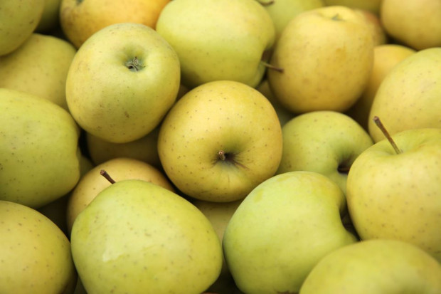 fot. shutterstock Golden Delicious najpopularniejszą odmianą jabłek na Ukrainie