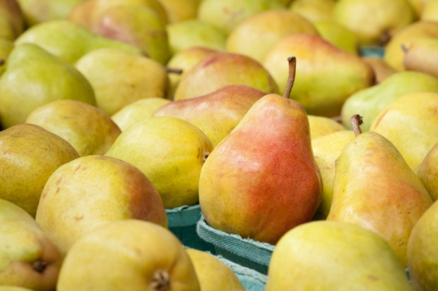 Rosja skierowała 808 kg belgijskich gruszek do spalenia/ fot. shutterstock Rosja znów niszczy żywność. Tym razem spalono gruszki!