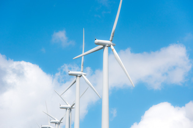 Fot. Shutterstock Ekspert WWF o projekcie o OZE: to prawo dla dużych państwowych koncernów energetycznych