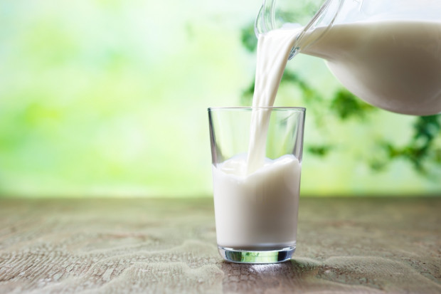 Fot. Shutterstock Dania: producenci mleka nadal zmniejszają koszty produkcji