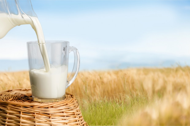 Fot. Shutterstock Najwięksi producenci skupiają 25 proc. światowego rynku mleka