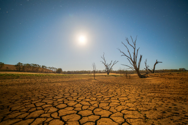 Fot. Shutterstock Polska Sahara