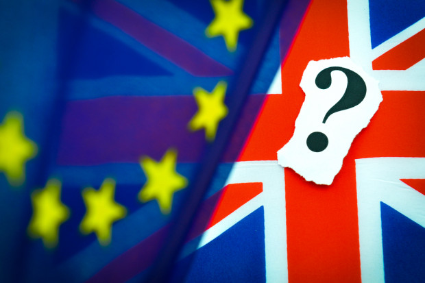 Fot. Shutterstock Brexit odbije się na polskim eksporcie