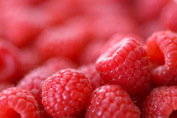 fot. shutterstock Zapowiada się dobry sezon dla plantatorów malin. Ceny owoców sięgają 6-16 zł/kg