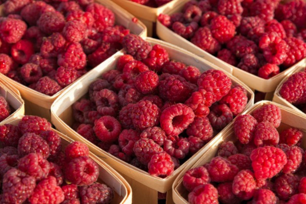 fot. shutterstock Ruszył skup maliny letniej. Ceny są opłacalne