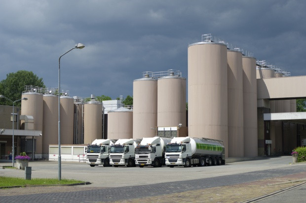 Rabobank przedstawił kolejny ranking największych koncernów mleczarskich świata/ fot. Sutterstock Rabobank przedstawił ranking 20 największych koncernów mleczarskich świata