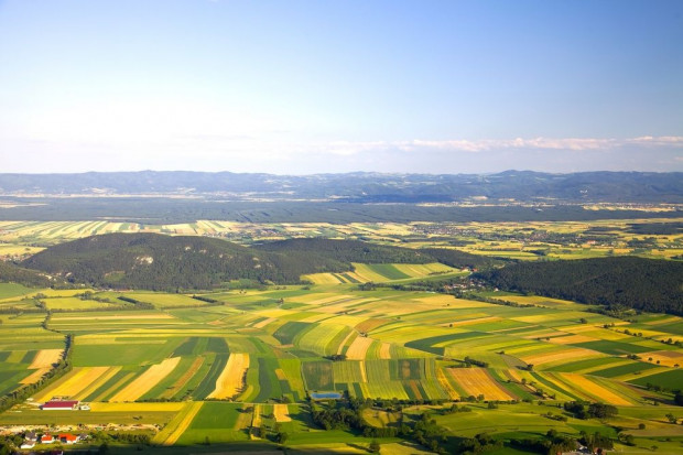 Fot. shutterstock Europa jest uzależniona od produkcji żywności na innych kontynentach