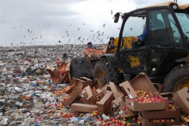 fot. freshplaza Rosja zniszczyła aż 7,5 tys. ton żywności z UE