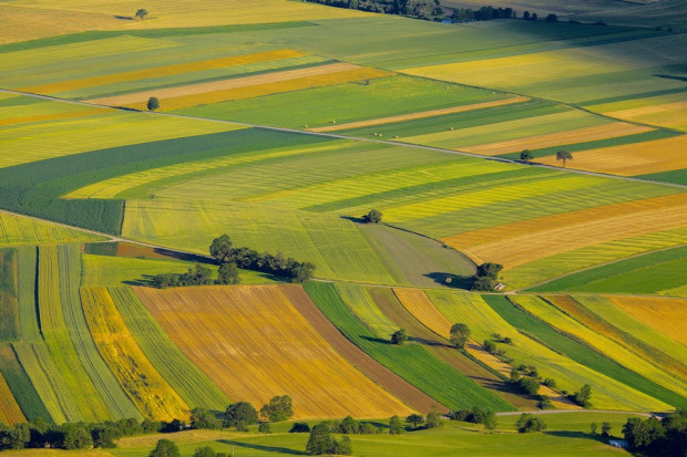 Fot. Shutterstock Przepisy o sprzedaży gruntów: obrót ziemią zamarł, a ceny spadły