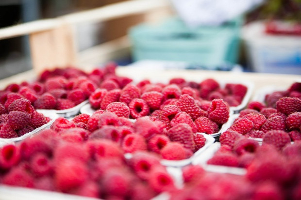 fot. pixabay.com.pl Jaki będzie kolejny rok dla producentów malin?