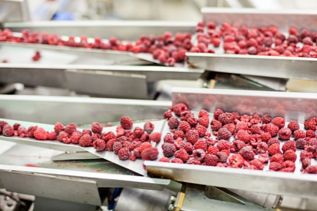 fot. shutterstock.com Polska Wschodnia - ważny producent surowca wraz z rozwinięta już bazą przetwórczą
