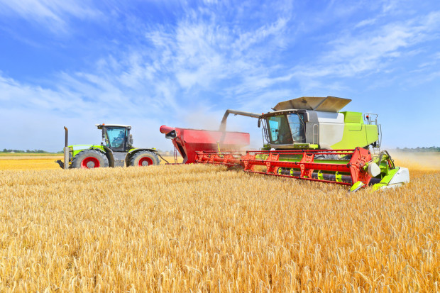Fot. shutterstock Złe perspektywy cenowe dla hiszpańskich rolników