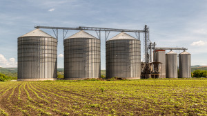 fot. shutterstock Rekordowe zbiory zbóż w USA. Zabraknie silosów