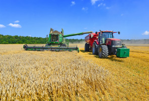 fot. shutterstock Importerzy zboża z Ukrainy dyktują ceny na krajowym rynku