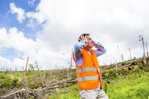 fot. shutterstock Wzrosła liczba śmiertelnych wypadków w rolnictwie