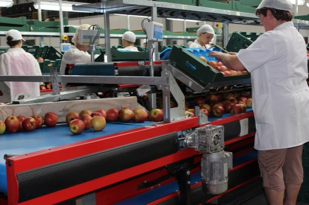 fot. sadyogrody.pl MRiRW: Integracja polskich producentów rolnych w jest niezbędna